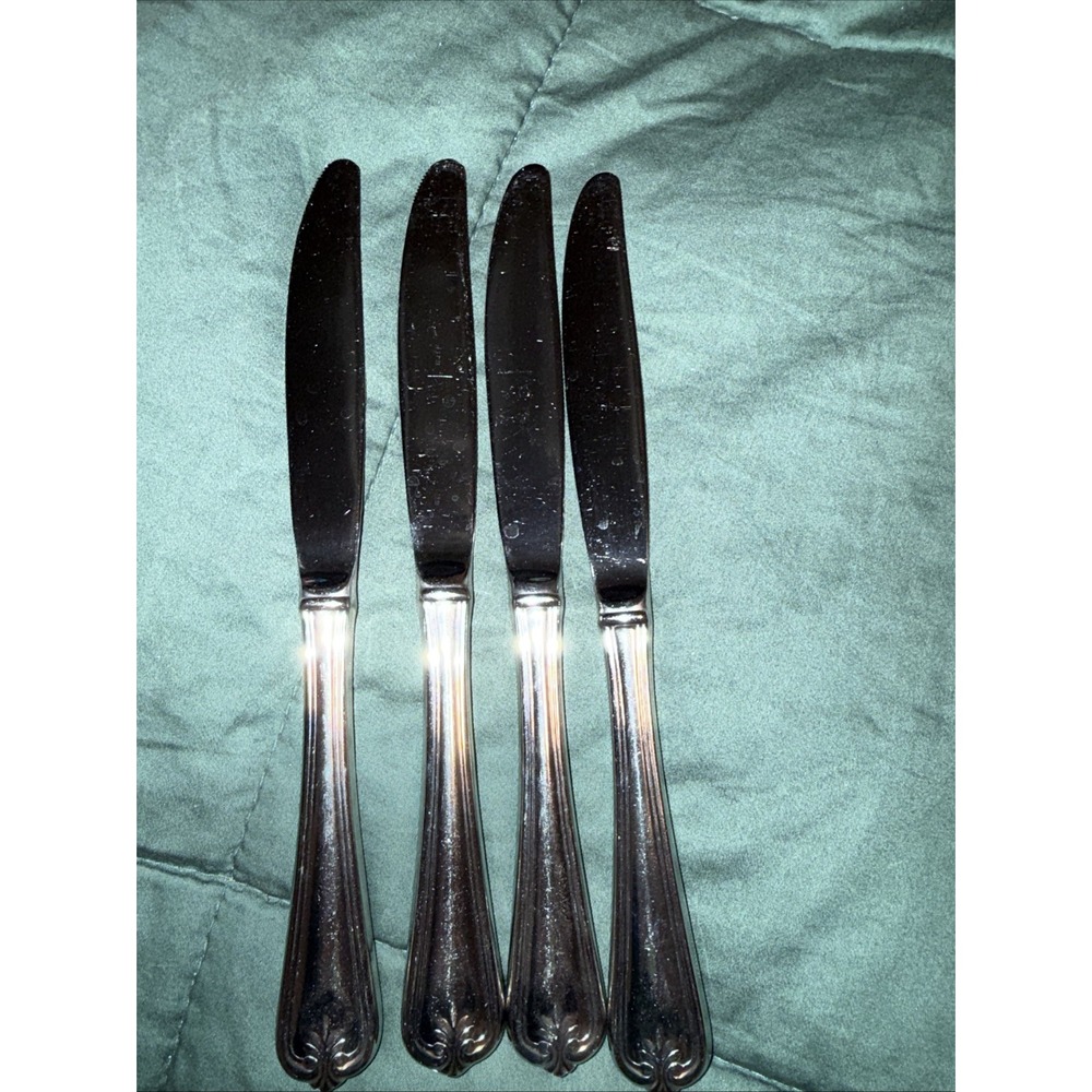 Lenox BUTLER'S GOURMET 18/8 Stainless Glossy Silverware 4 Dinner Knives 8 in.